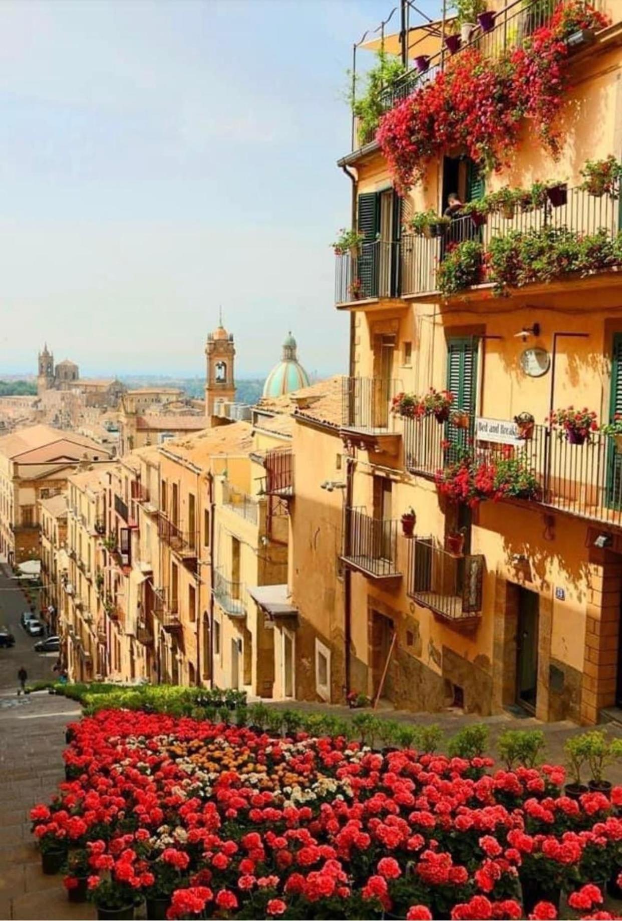 Casa Tipica Siciliana Patronale Home Bedandbreakfast Tremetrisoprailcielo Camere Con Vista, Colazione Interna In Terrazzo Panoramico Caltagirone Dış mekan fotoğraf