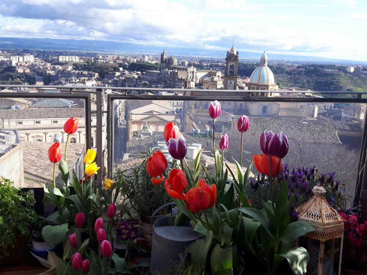 Casa Tipica Siciliana Patronale Home Bedandbreakfast Tremetrisoprailcielo Camere Con Vista, Colazione Interna In Terrazzo Panoramico Caltagirone Dış mekan fotoğraf